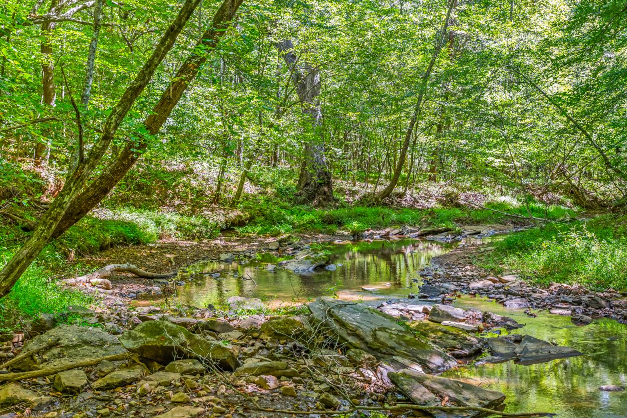 39 Acre Equestrian Estate - Stokes County - photo 2