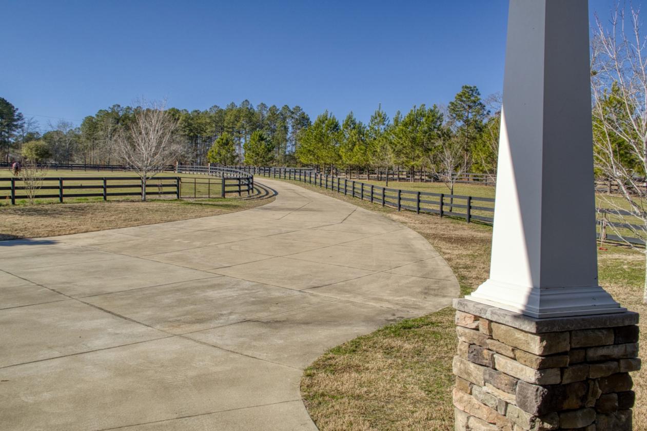 The total package horse property - photo 5