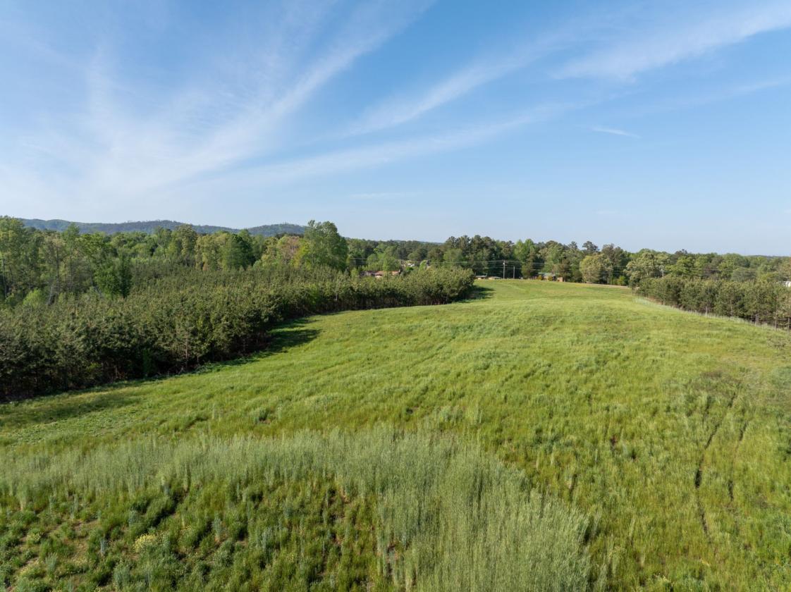 169 Acres, pastures, creeks, pond sites and trees - photo 12
