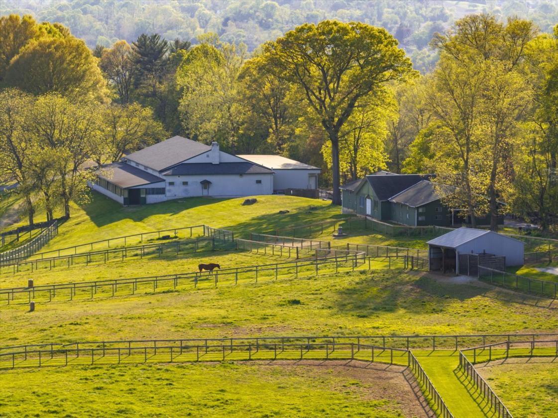 437.5 Acre Legacy Equestrian Estate - photo 12