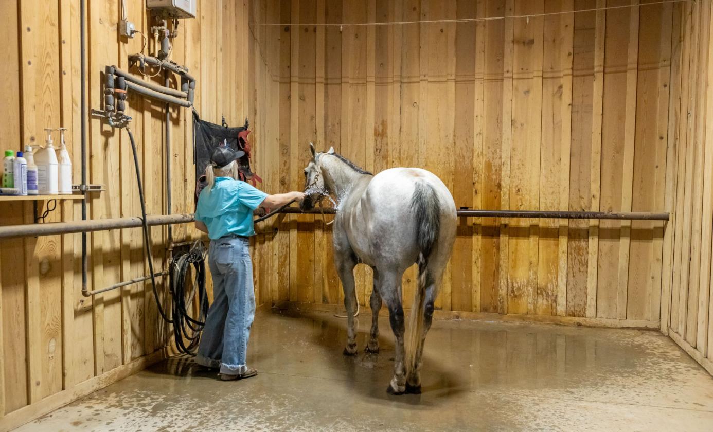 7B Ranch - photo 14