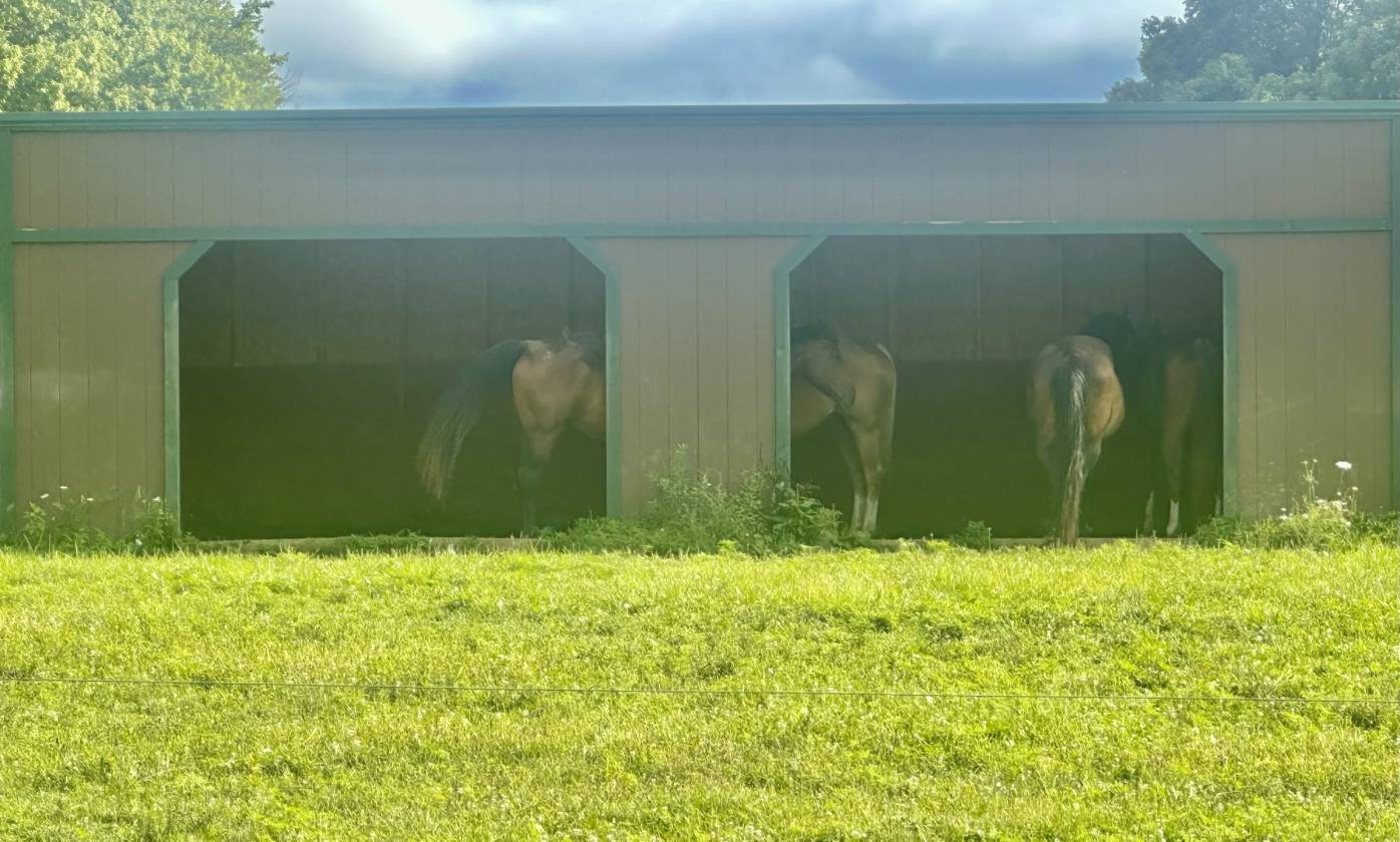 16.59 Acre Equestrian Estate - photo 27