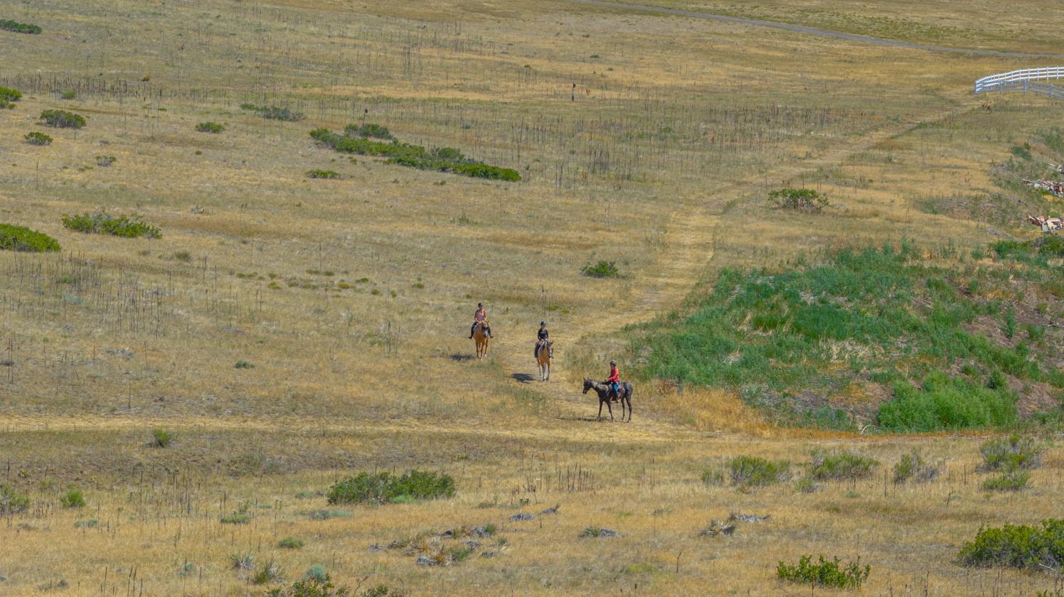 Zuma's Ranch - photo 19