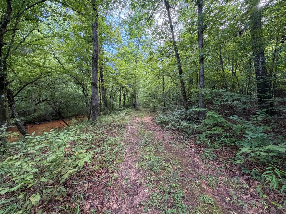 Bear Creek Retreat - photo 27