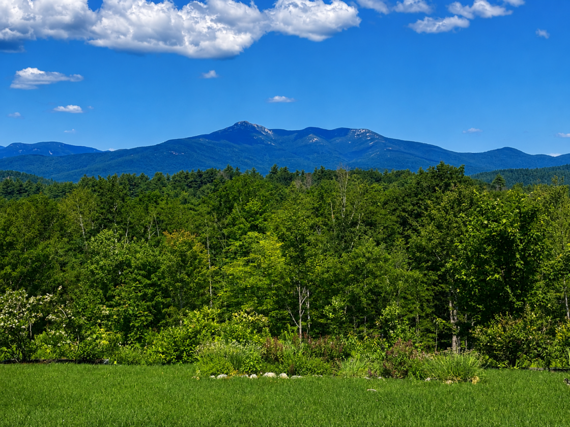 50 Acres, Field, Private Trails, Orchard - photo 4