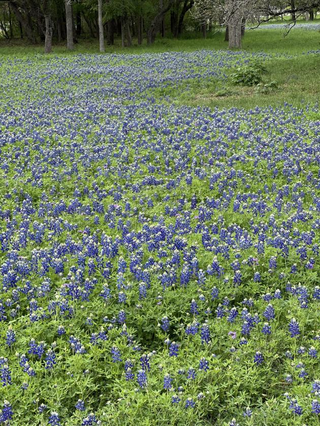 Canyon Lake Acreage — Live Where Others Vacation - photo 15