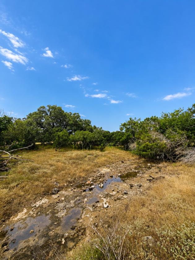 8.56 Acres | Unrestricted | Fenced - photo 11