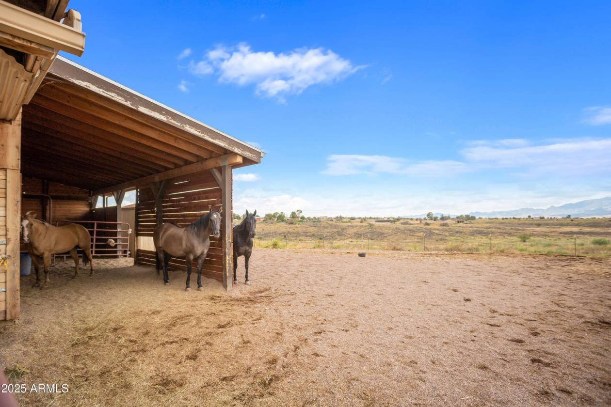 Southern Arizona Dream! 20-Acre Horse Property - photo 16
