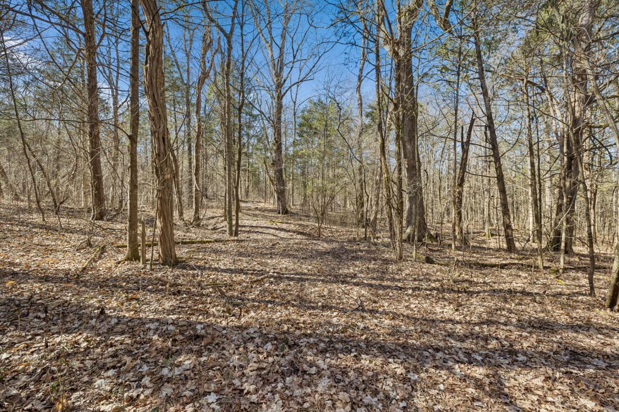 175 Gorgeous Acres - photo 19