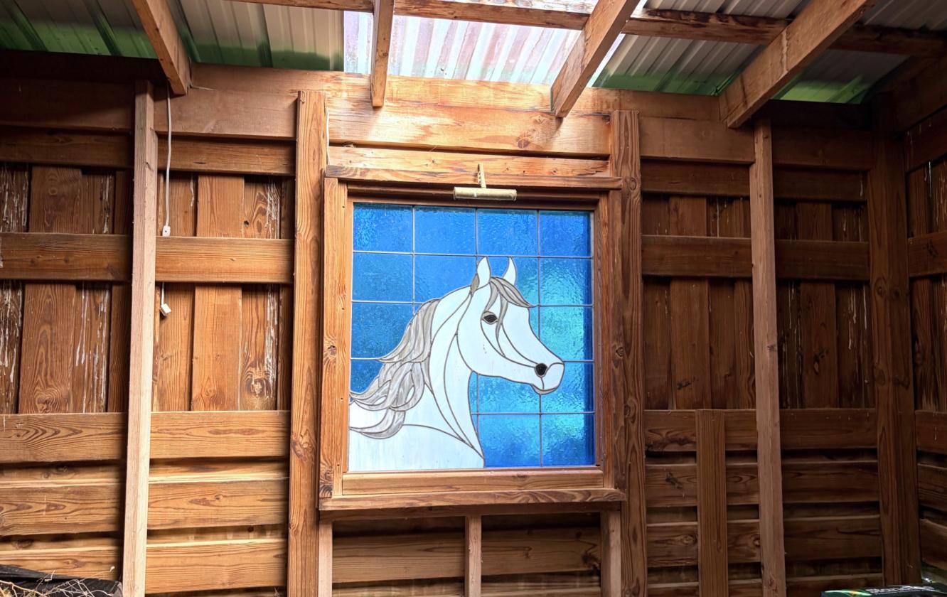 Equestrian Country Estate/ Private Lake/ 53 acres - photo 14
