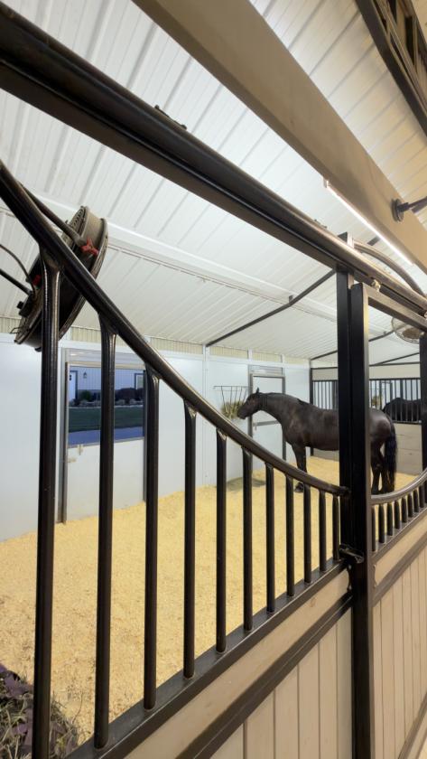 Luxury Horse Farm with 2 Homes and Covered Arena - photo 22