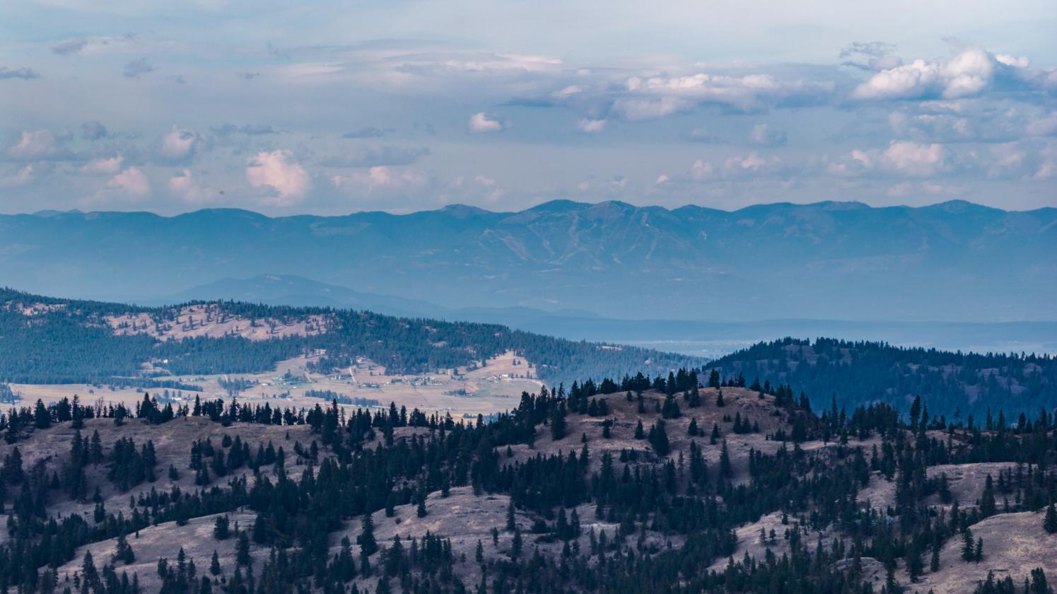 350 Acres & Private Access to MT Forest Service - photo 24
