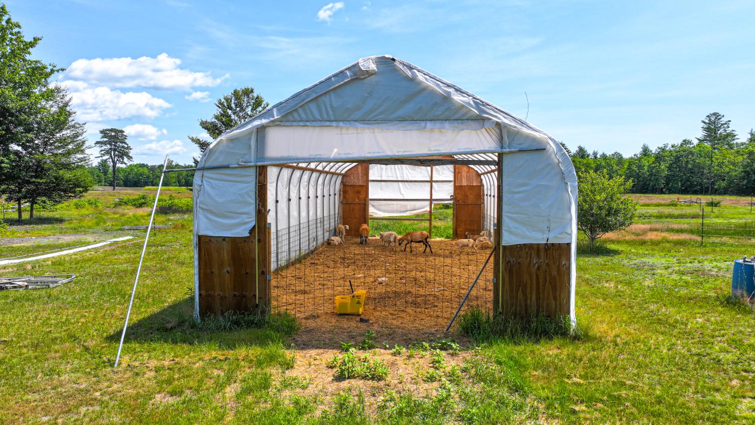 Homesteading Horse Opportunity! - photo 5