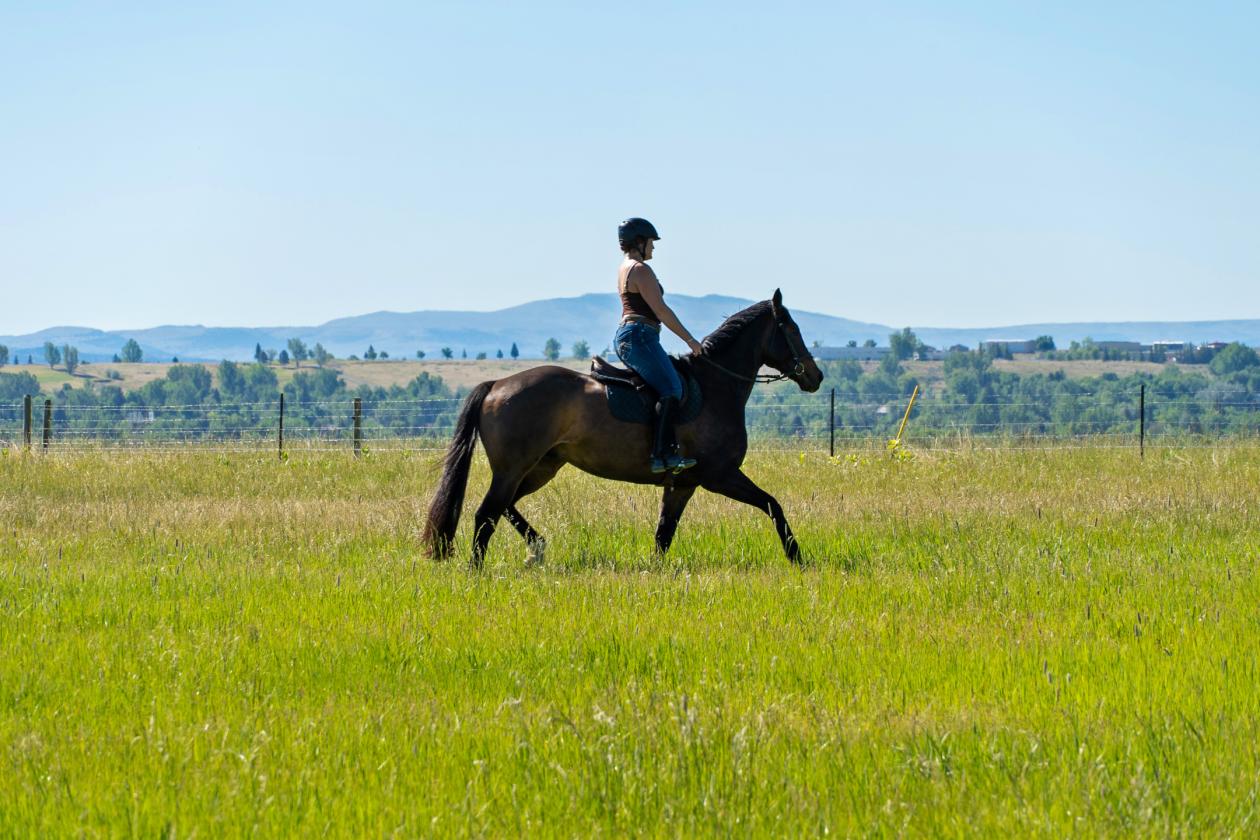 Exceptional horse property with beautiful views - photo 16