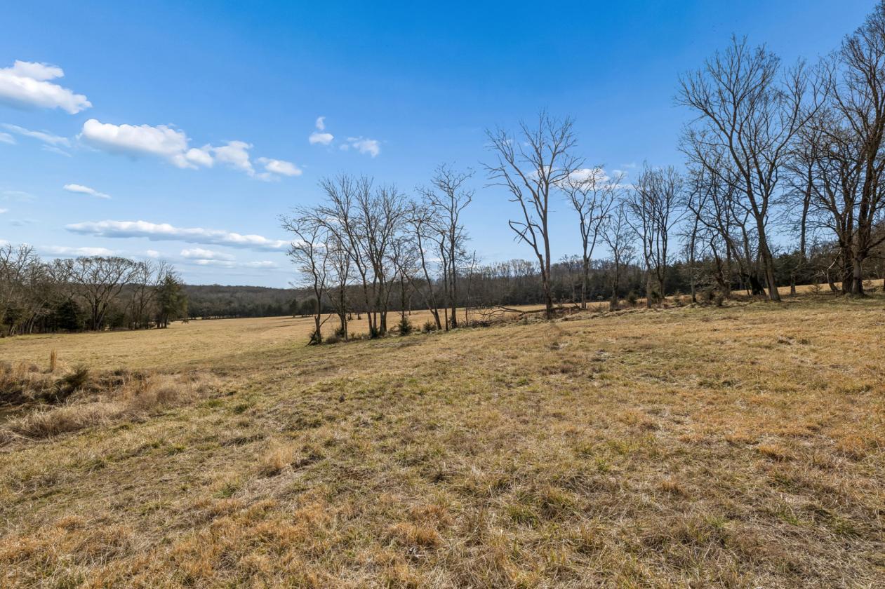 175 Gorgeous Acres - photo 29