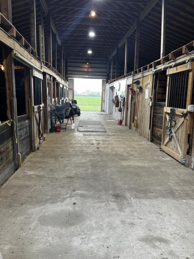 Nice Horse Farm/ Business Opportunity - photo 2