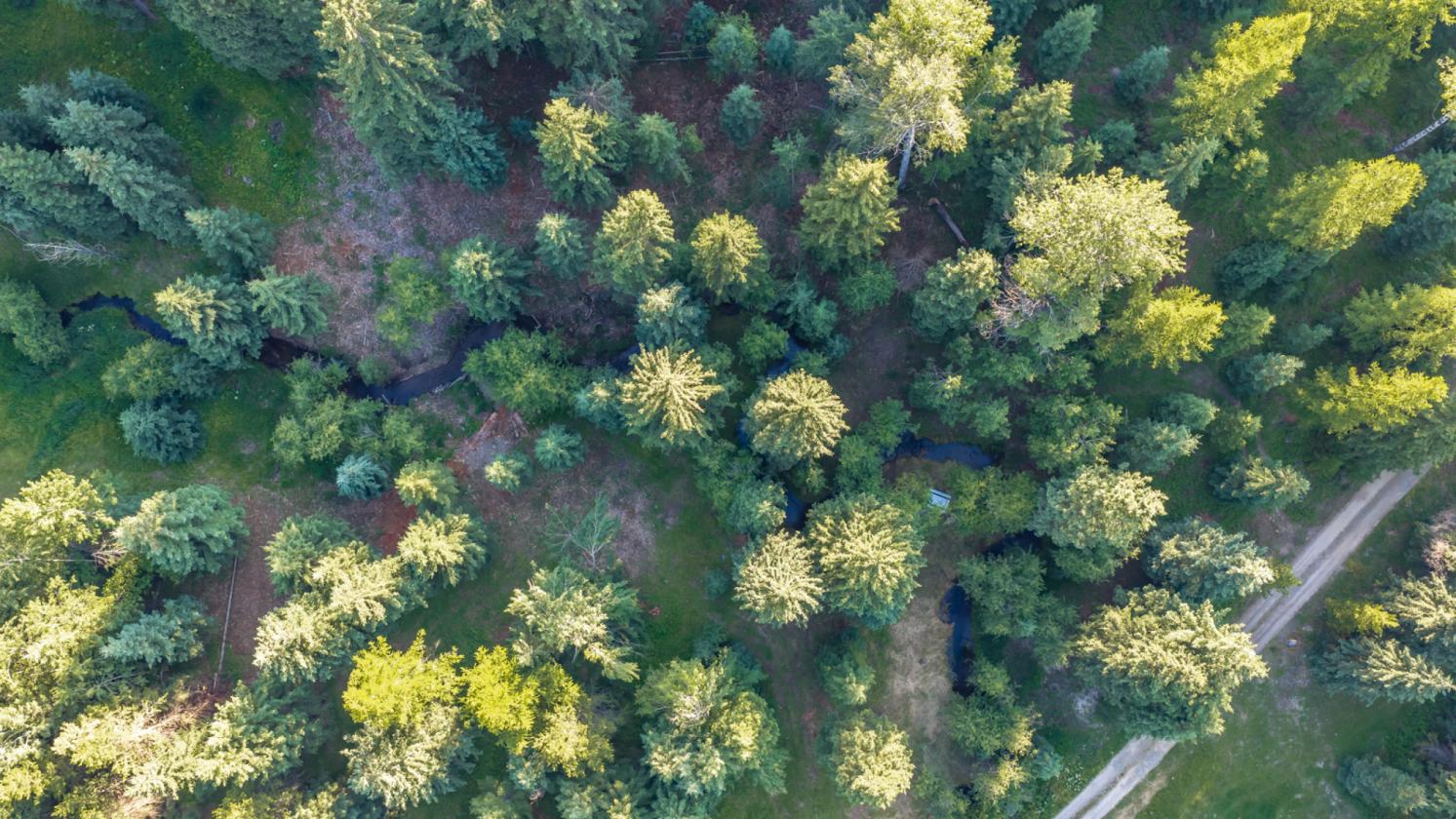 Wild Bill Creek Enclave - photo 17
