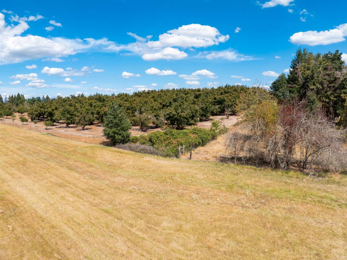 2 Hazelnut lots in Sherwood Horse arena Potential! - photo 4