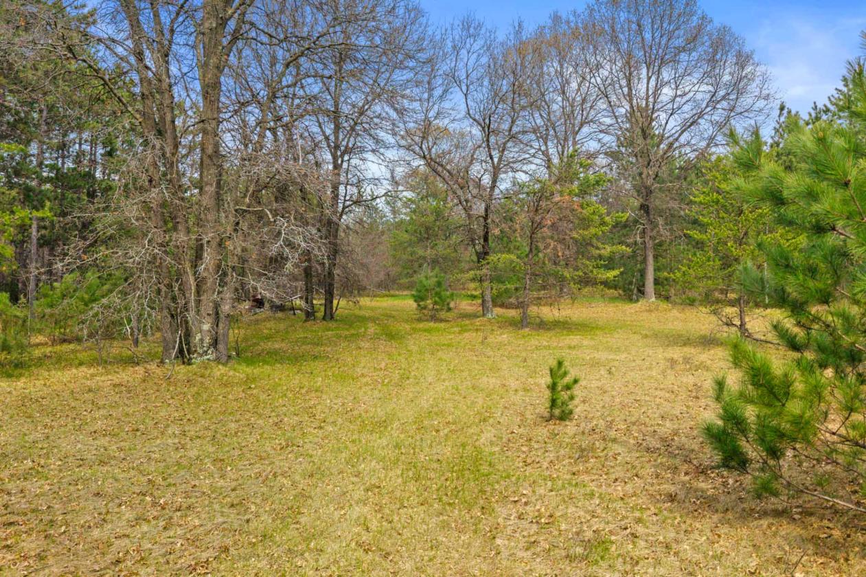 Classic log home on 23 gorgeous wooded acres! - photo 29