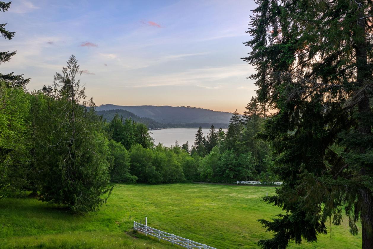 6.75 Acres of NW pastureland and endless trails - photo 2