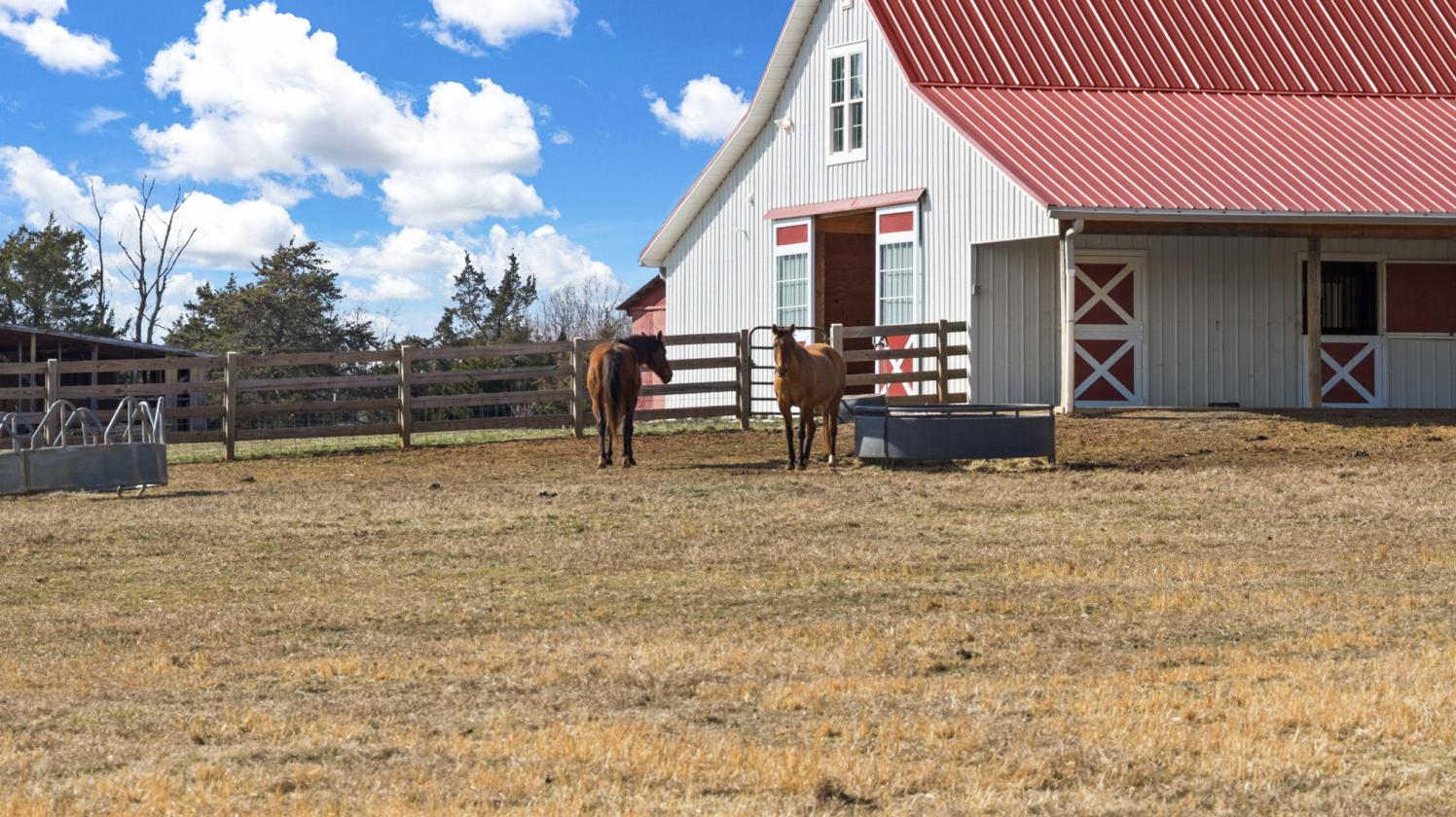 Sunny Side Up Farm | 9-Stall Equestrian Estate - photo 17