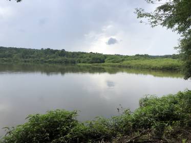 Property image.
