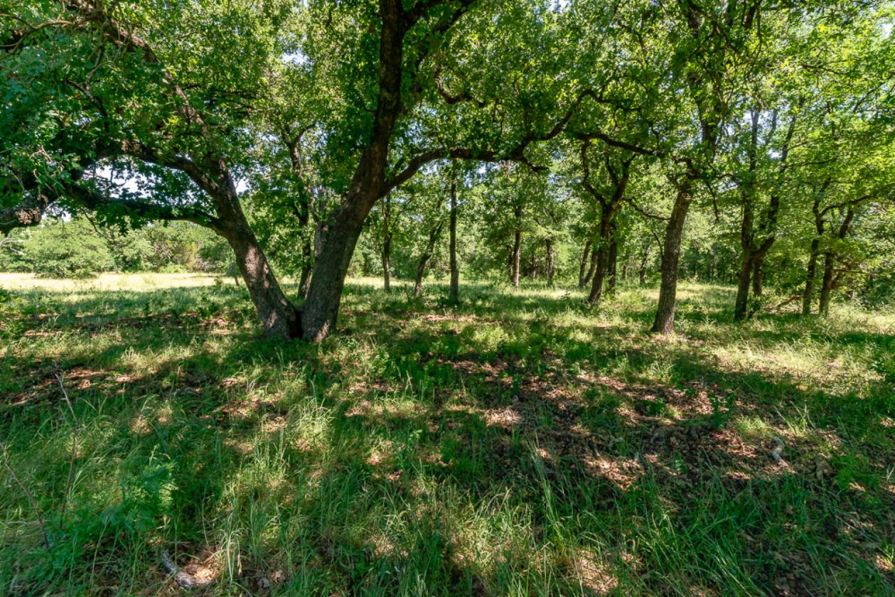 117.5 Acre Horse & Cattle & Rec. Property - photo 24