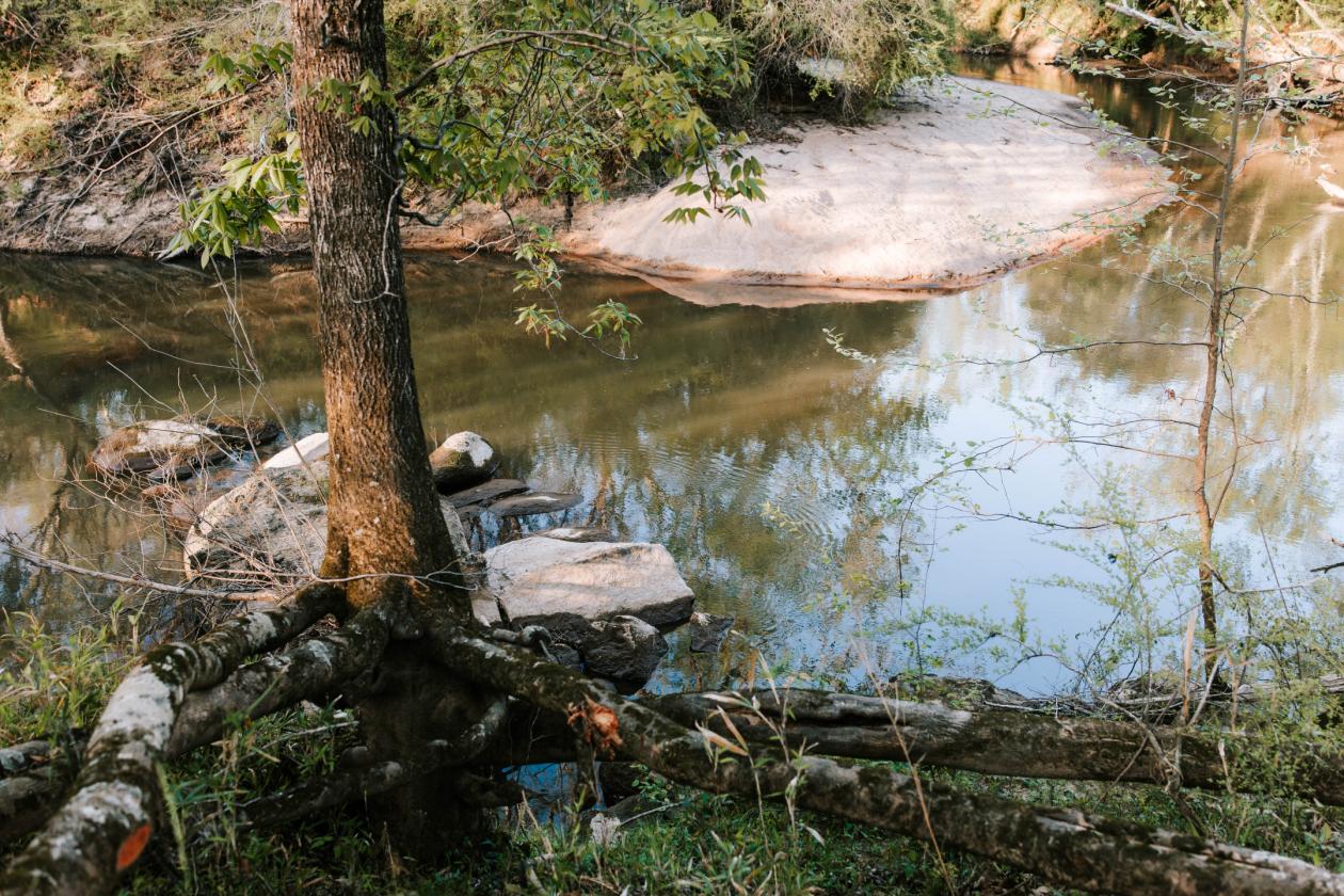 Legacy Retreat - photo 19