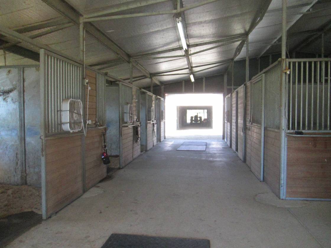 Horse Farm with potential development - photo 29