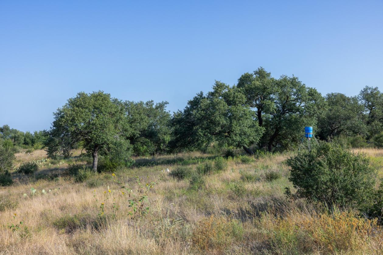 Income Producing Hill Country Retreat - photo 17