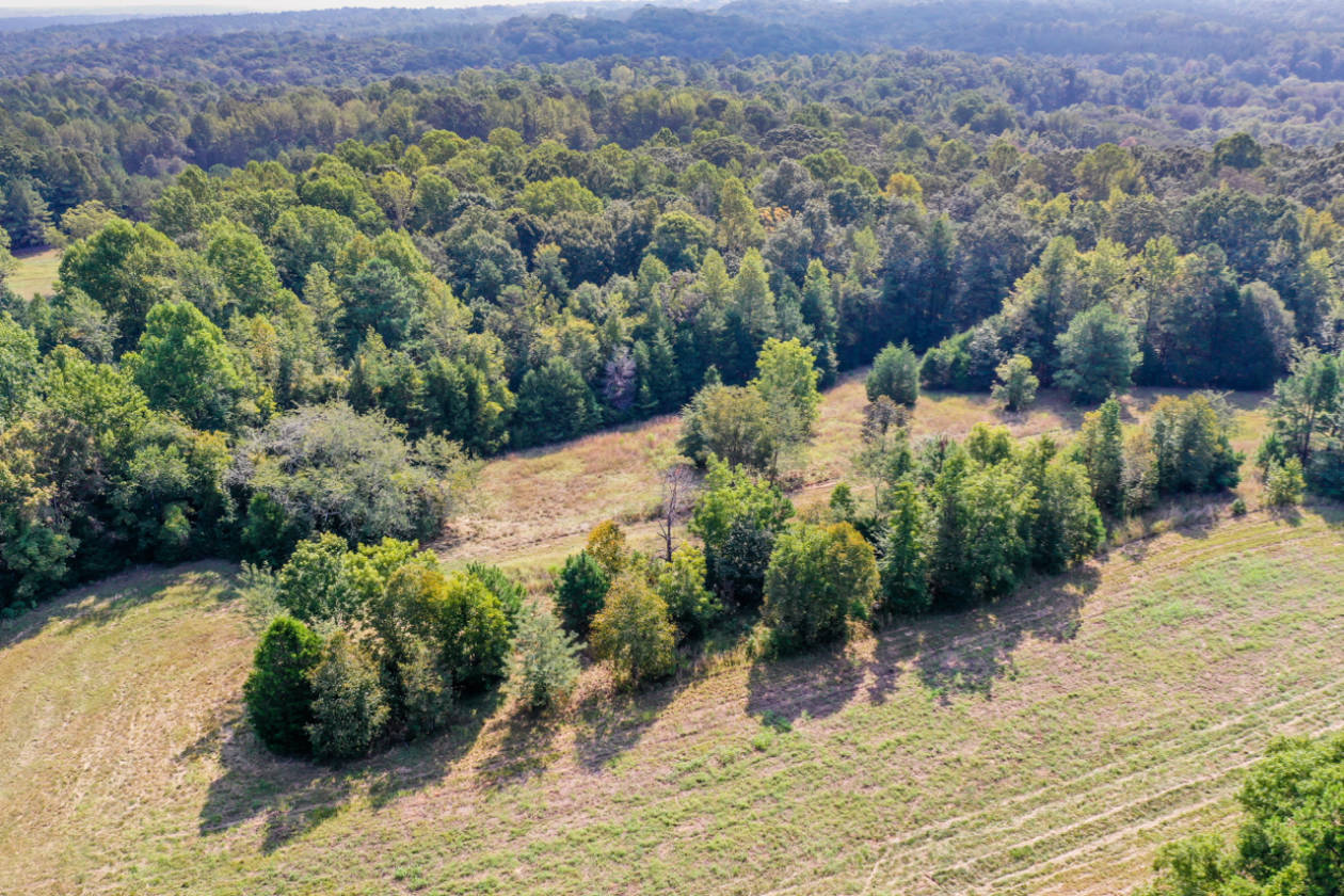 Amazing Stonewall Plantation on Approximately 80 Acres! Clinton
