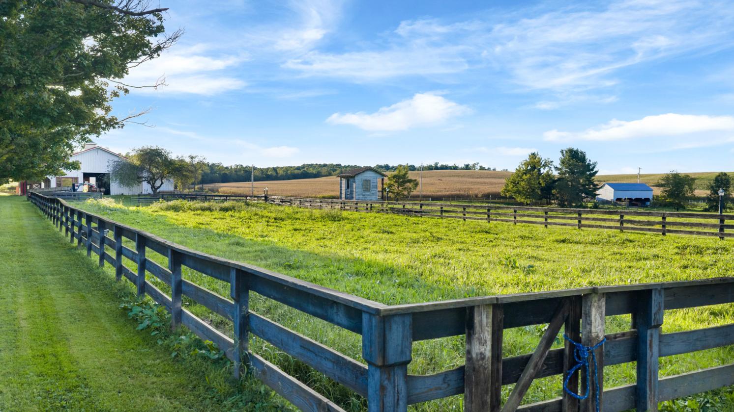 93 Acre Show Cattle & Equine Facility - photo 8