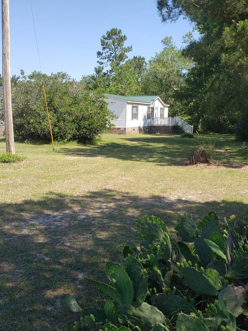 Working Horse Farm Near Myrtle Beach, SC Loris, Horry County, South