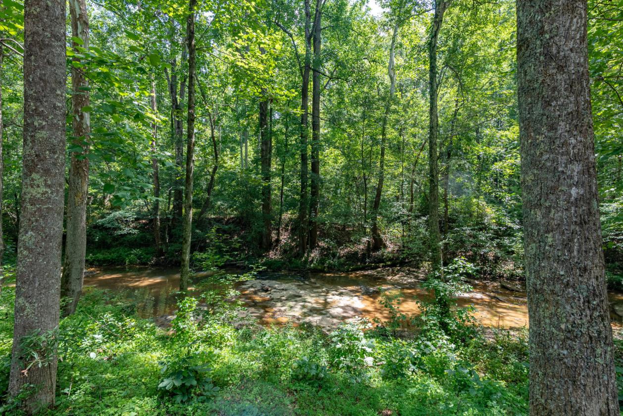 Private Retreat with Rustic Barns, Creek and Home - photo 16