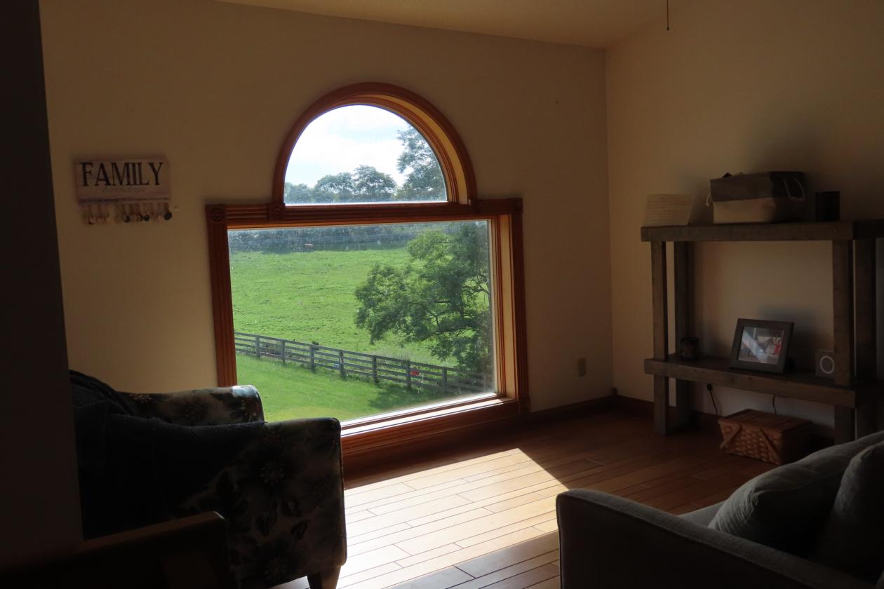 16 +/- acres Equestrian Property - photo 8