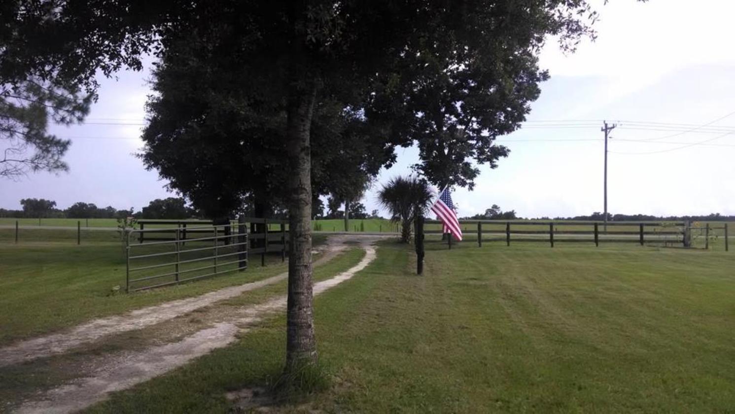 20 ACRE BEAUTIFULLY WOODED HOMESTEAD - photo 21