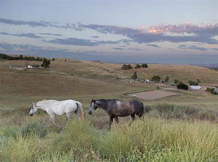 Horse Property for sale.
