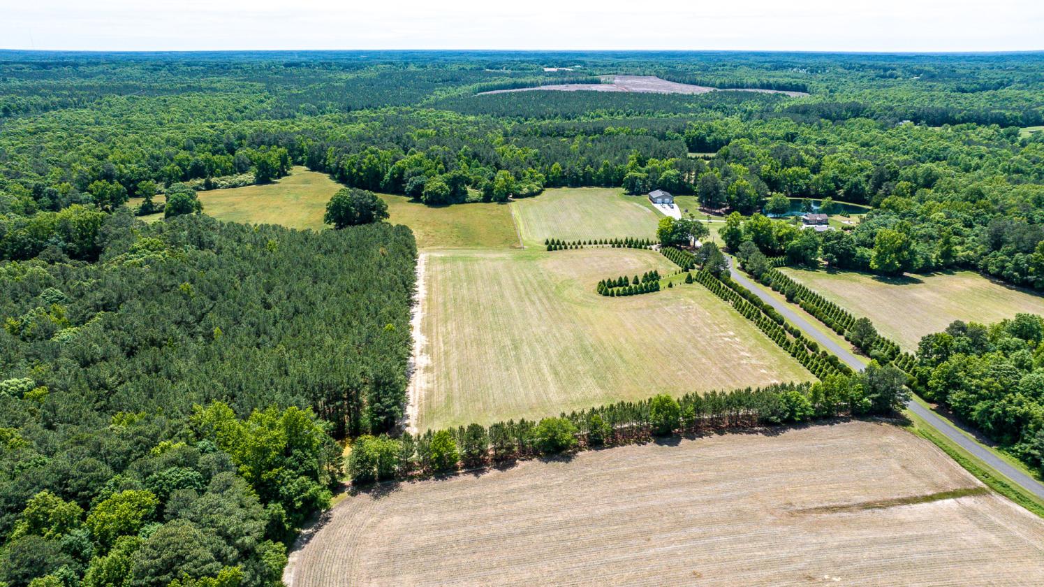 87.84 ACRES WITH FARM HOUSE AND POND - photo 10