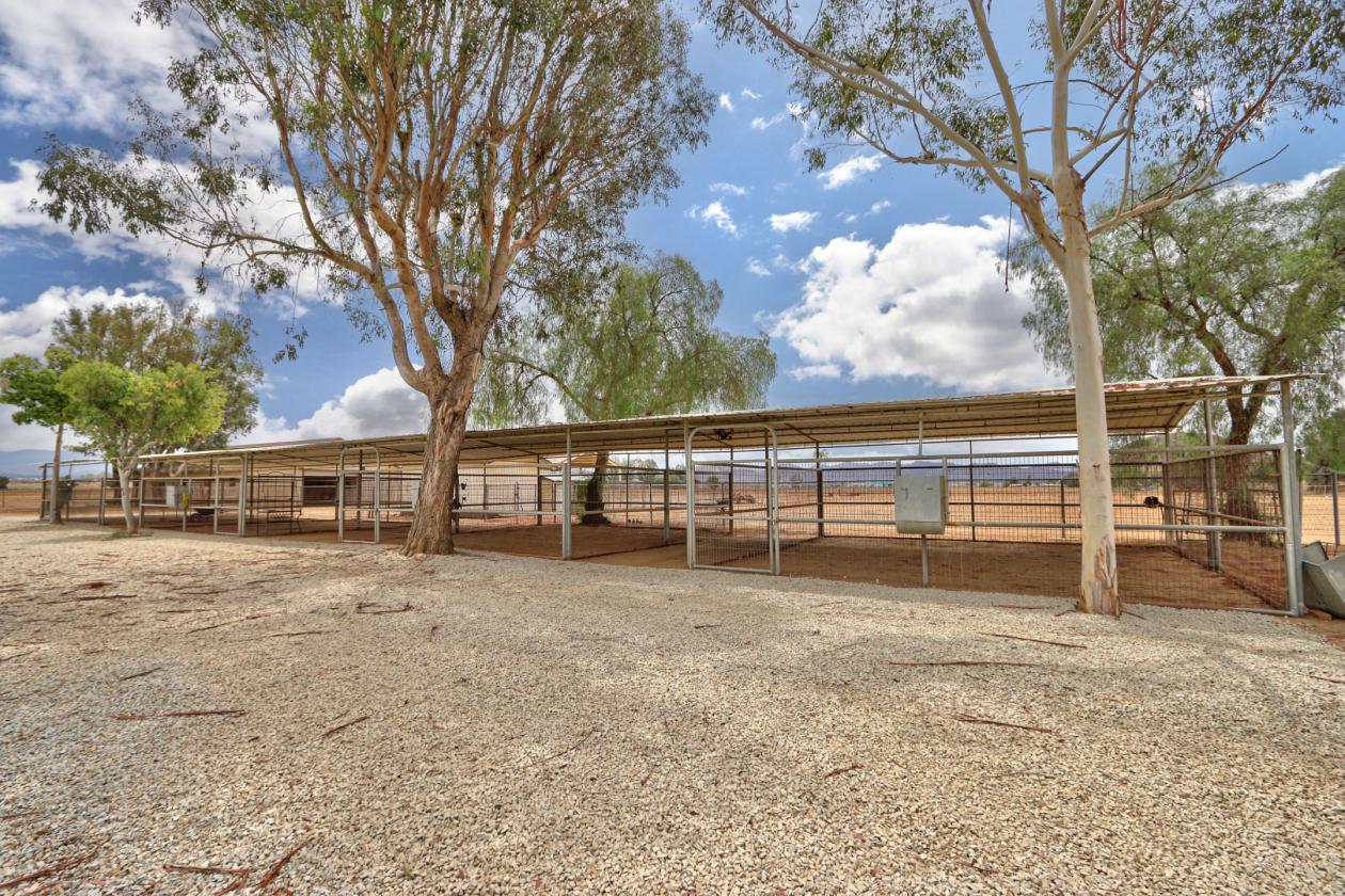 Updated Equestrian Estate with Covered Arena - photo 16