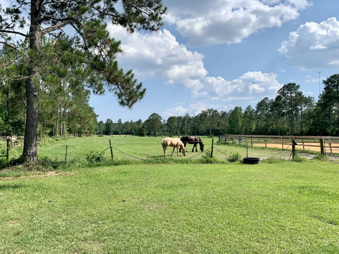 12 Acre Horse Farm by the Beach Robertsdale, Baldwin County, Alabama