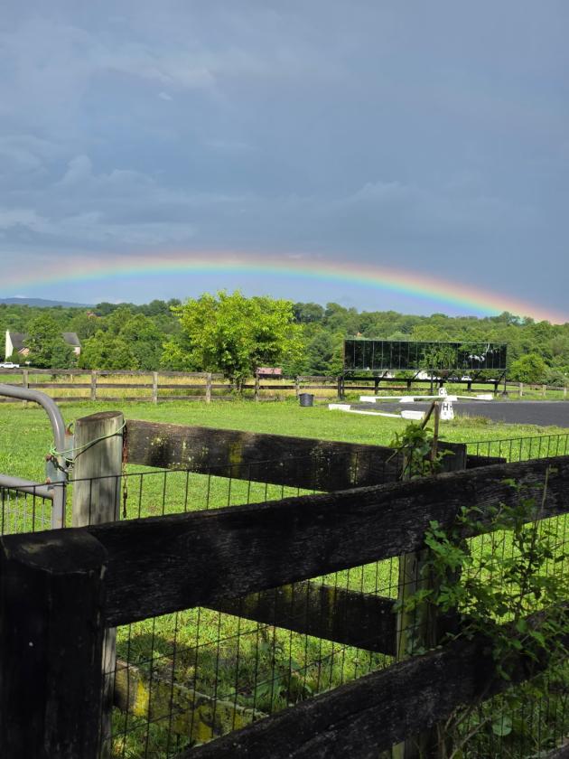 Picturesques Equestrian Retreat in Loudoun County - photo 29