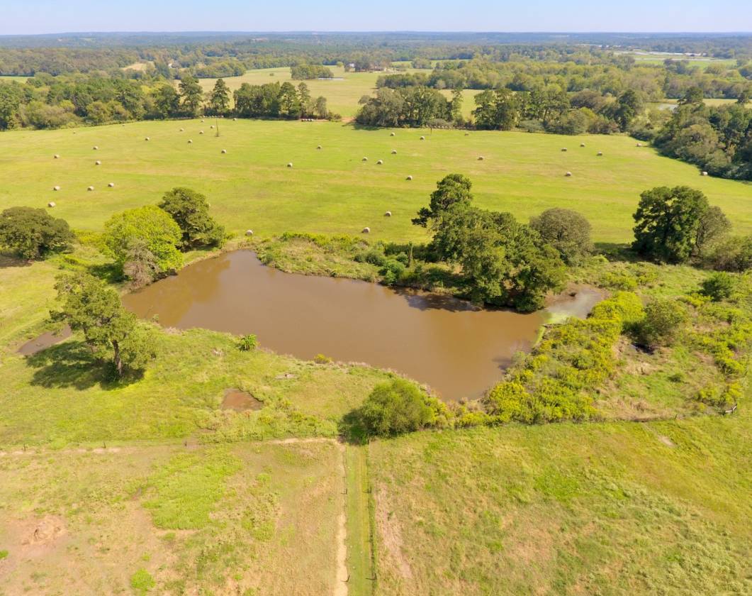 48.96 acre Horse Farm in Nacogdoches County Nacogdoches, Nacogdoches County, Texas