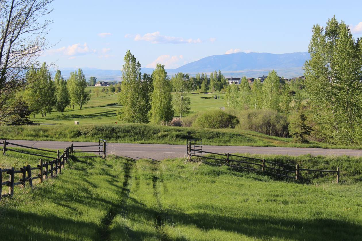 Horse Property for sale.