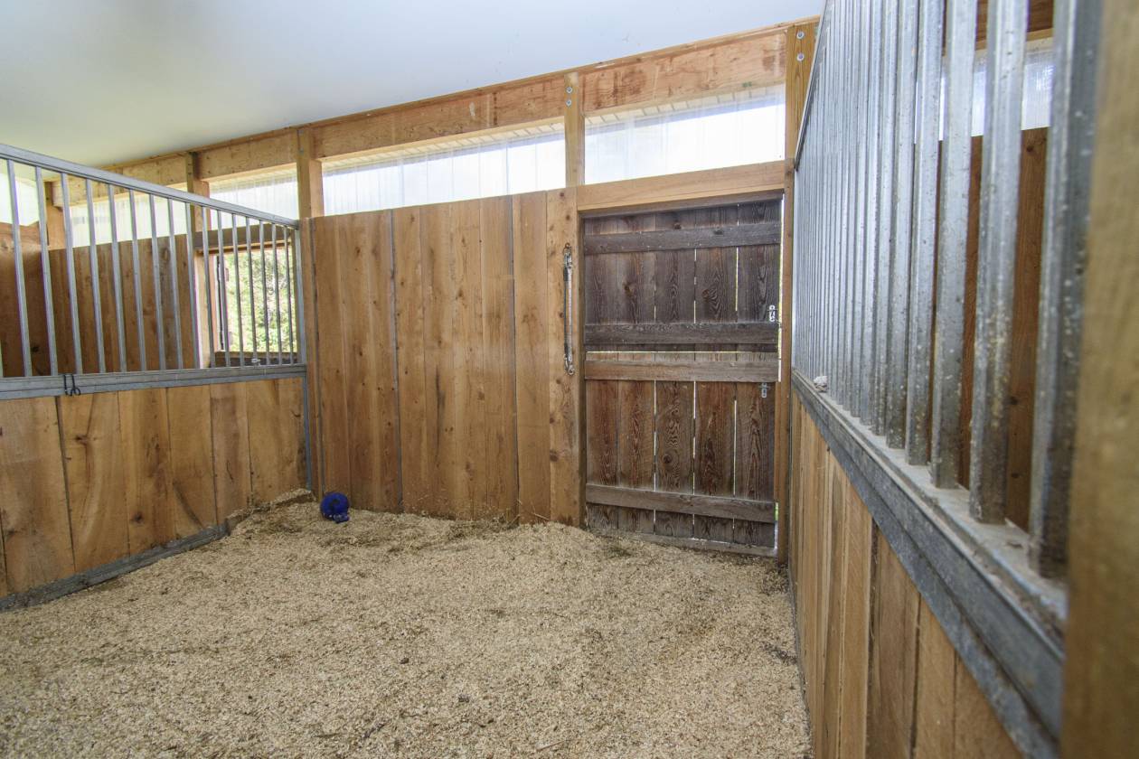 Where Elegance & Equestrian Freedom Come Together - photo 30