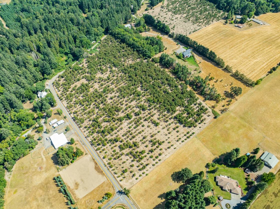 2 Hazelnut lots in Sherwood Horse arena Potential! - photo 1