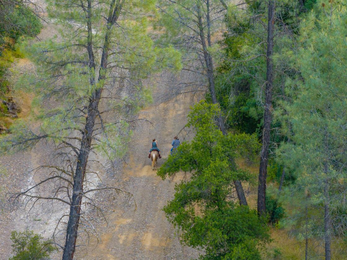 480 Acre Litte Crane Creek Ranch - photo 23