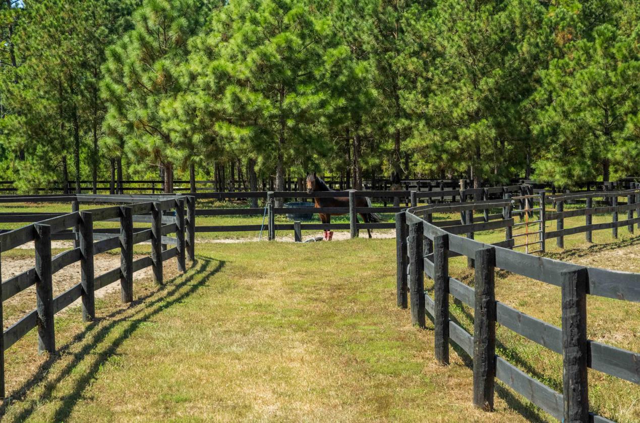 40 Acre Turn Key Dressage Facility with Log Home - photo 26