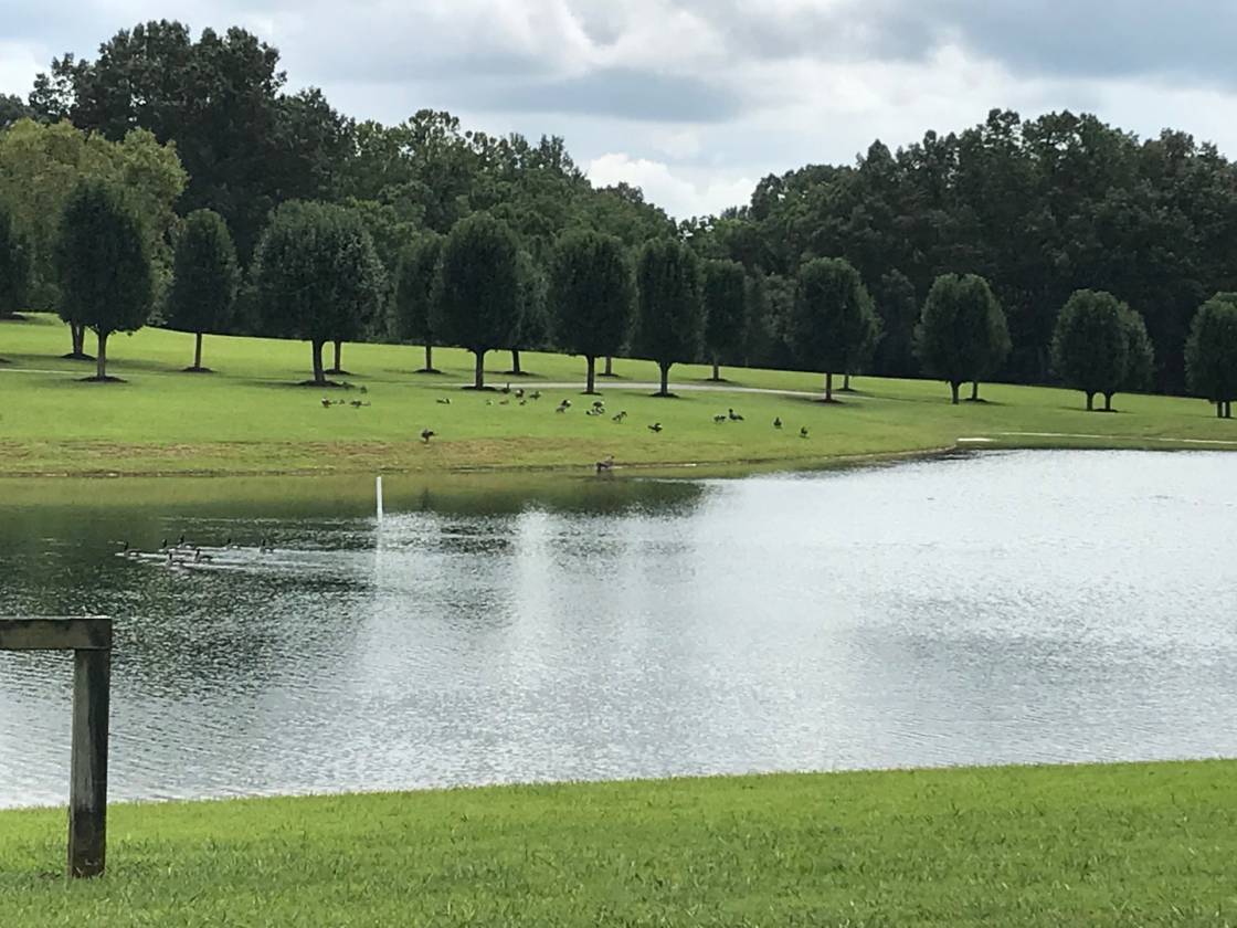 Beautiful home with 30 acres and small lake. McKenzie, Carroll County