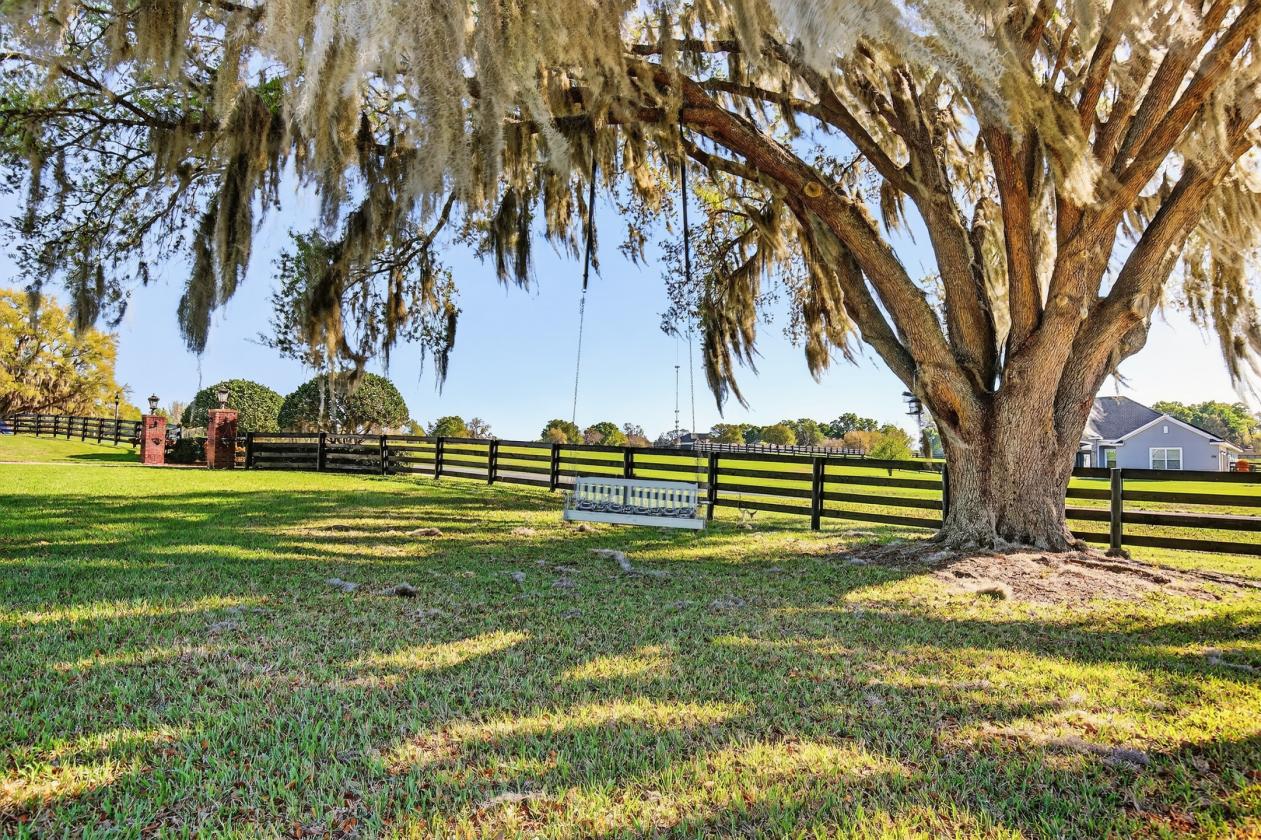 Southern Living on 14 acres - photo 27