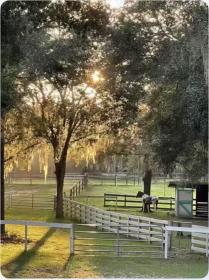 Property image.